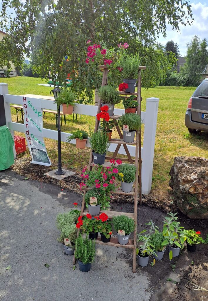 Bauernfest – 25 Jahre Heimatverein am 24.06.2023 – Foto 4