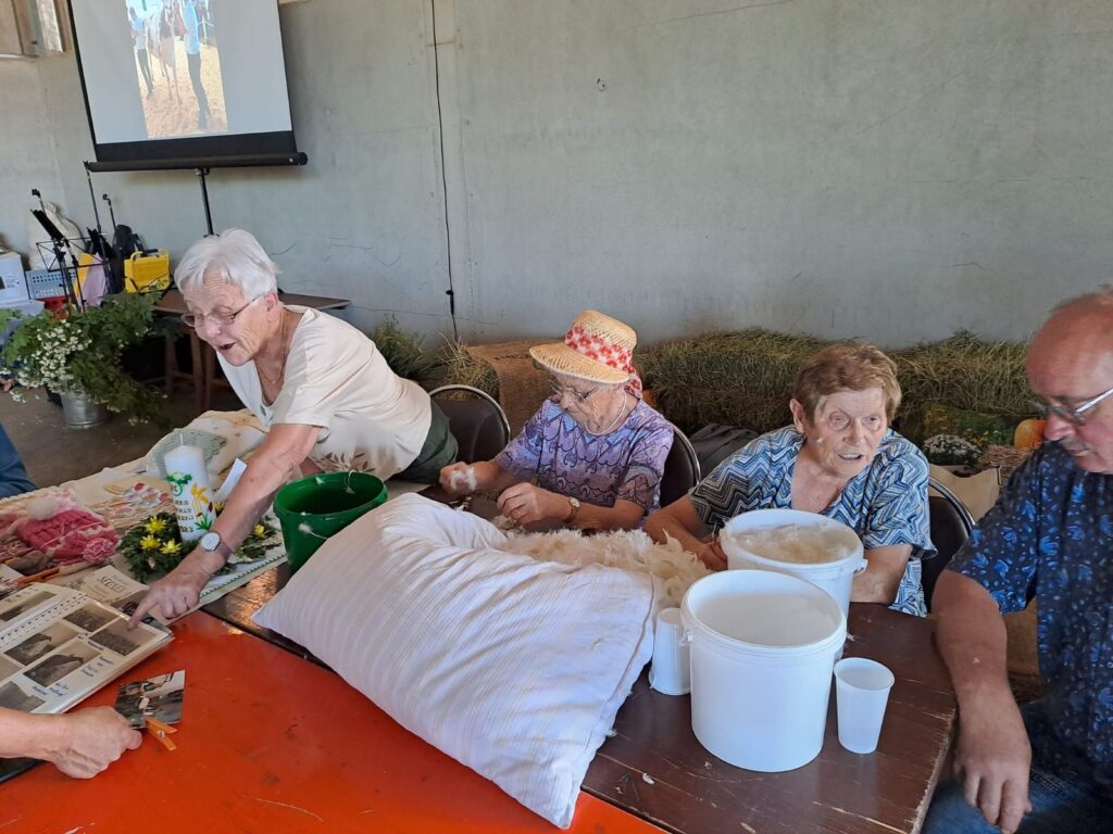 Bauernfest – 25 Jahre Heimatverein am 24.06.2023 – Foto 19