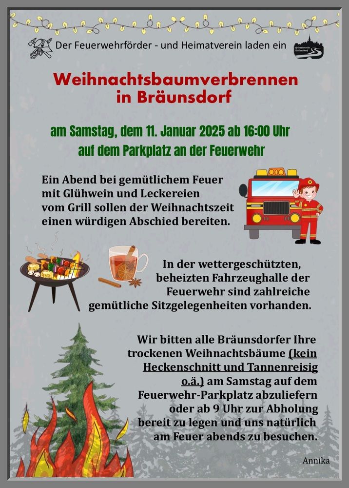 Weihnachtsbaumverbrennen 2025 am 11.01.2025 – Foto 9