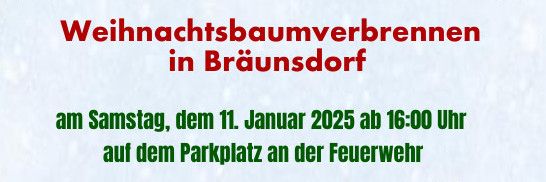 Weihnachtsbaumverbrennen 2025 am 11.01.2025