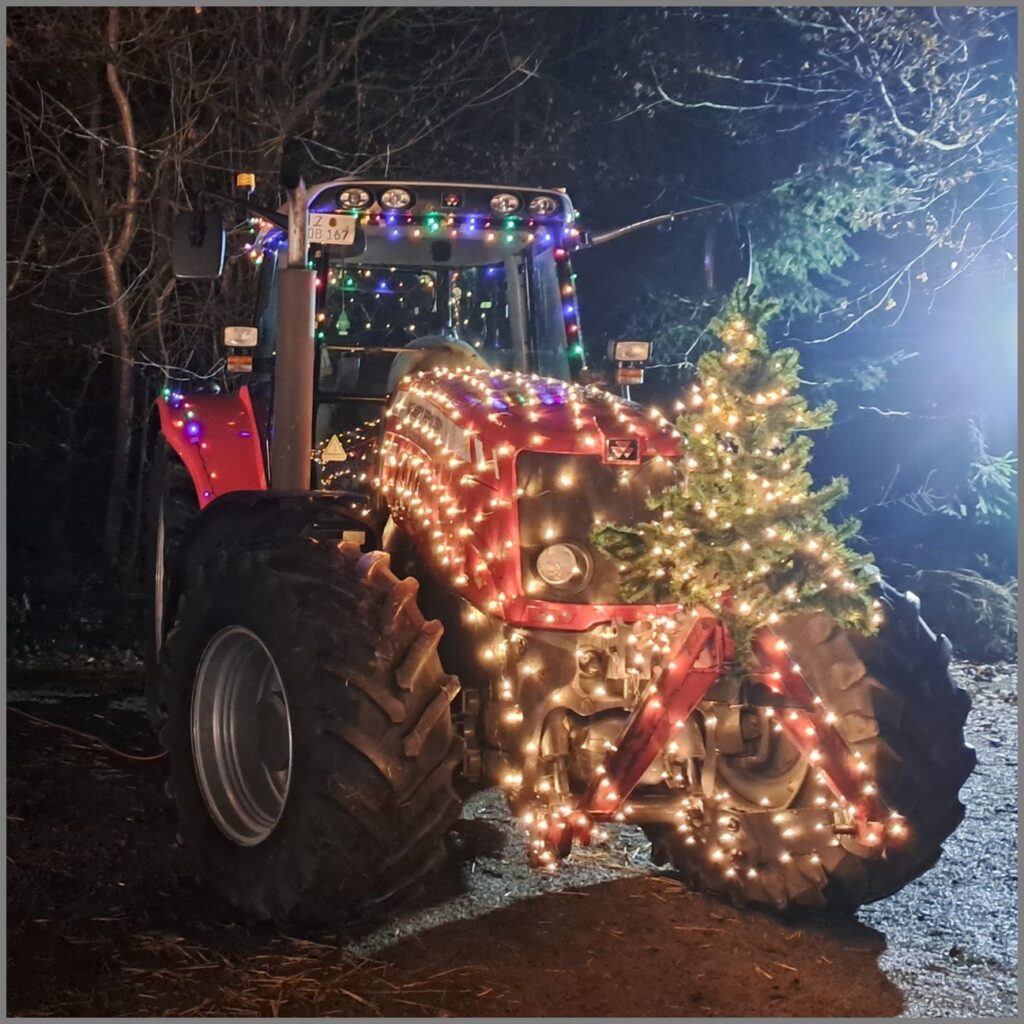 Weihnachtsmarkt 2025 am 13.12.2025 – Foto 16